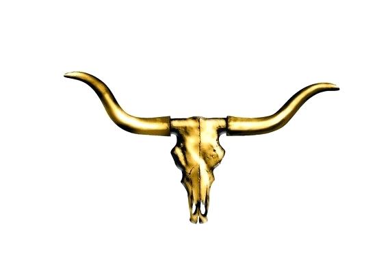 570x380 Texas Longhorn Skull Abstract Cow Vector Design Template Real