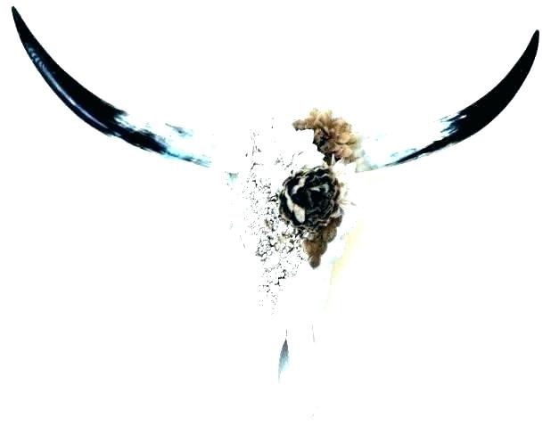 618x487 Longhorn Wall Decoration