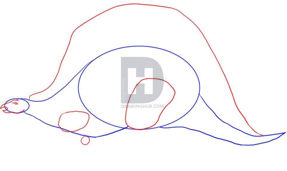 962x573 How To Draw A Stegosaurus, Dinosaur, Step