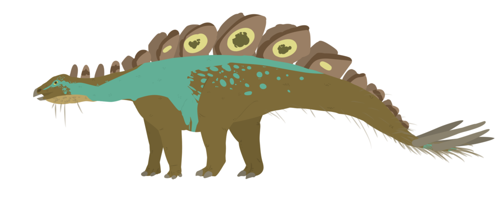 1024x432 Collection Of Free Stegosaurus Drawing Feather Download On Ui Ex