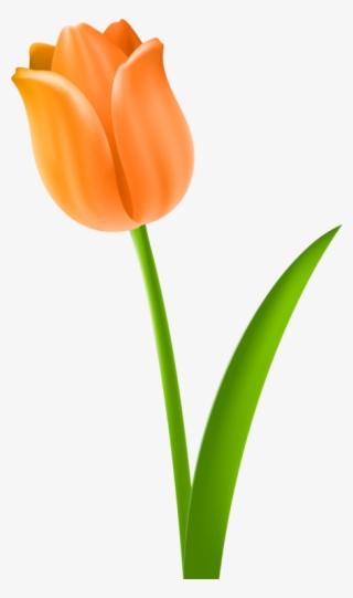 320x541 Flower Stem Png Images Png Cliparts Free Download On Seekpng