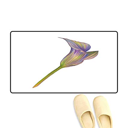 425x425 Door Mats For Inside Illustration Of A Realistic