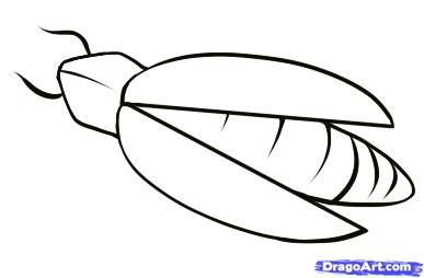 387x254 How To Draw A Firefly, Step