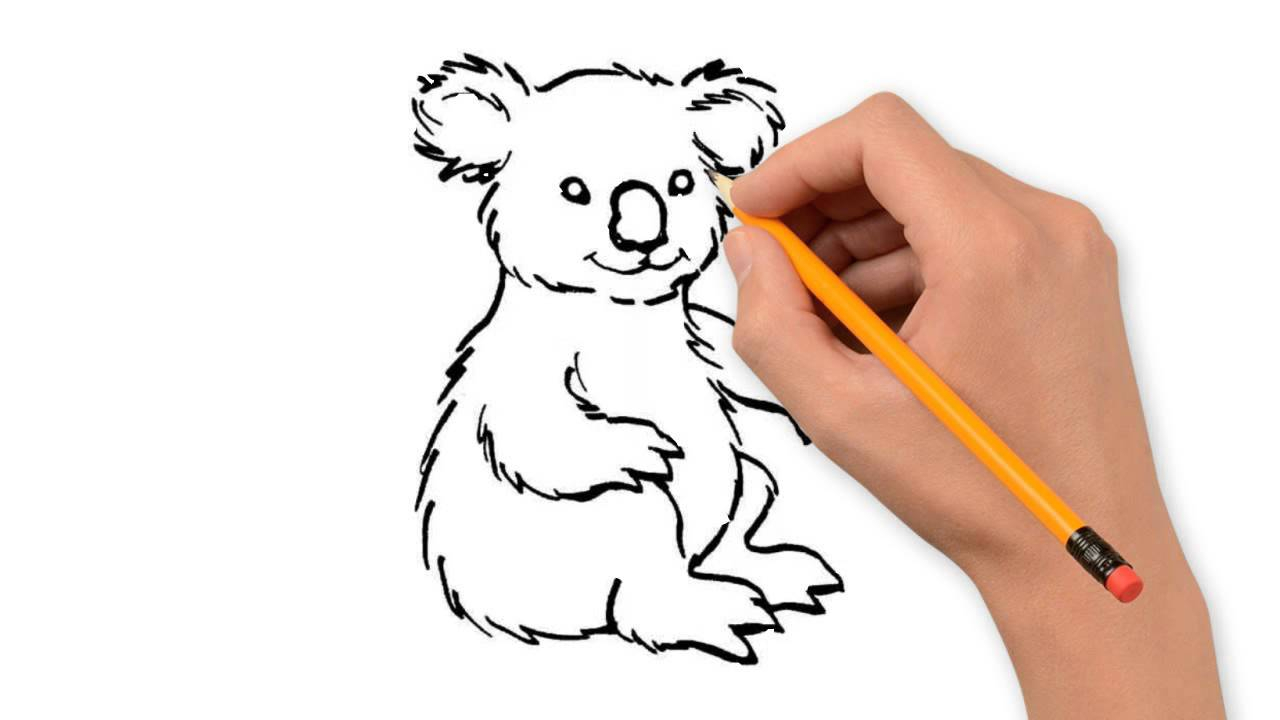 1280x720 How To Draw Animals Step