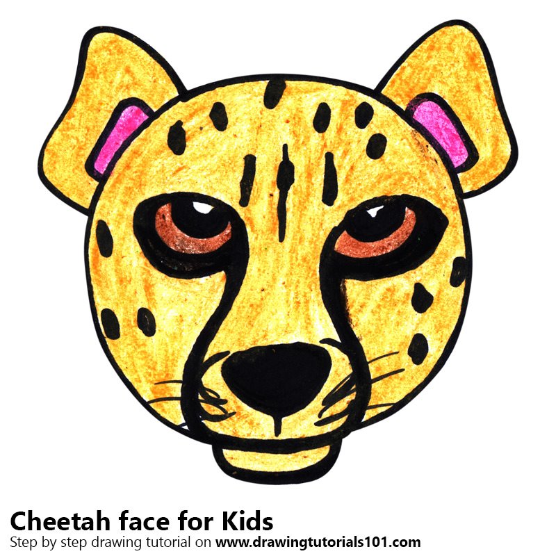 800x800 Learn How To Draw A Cheetah Face For Kids