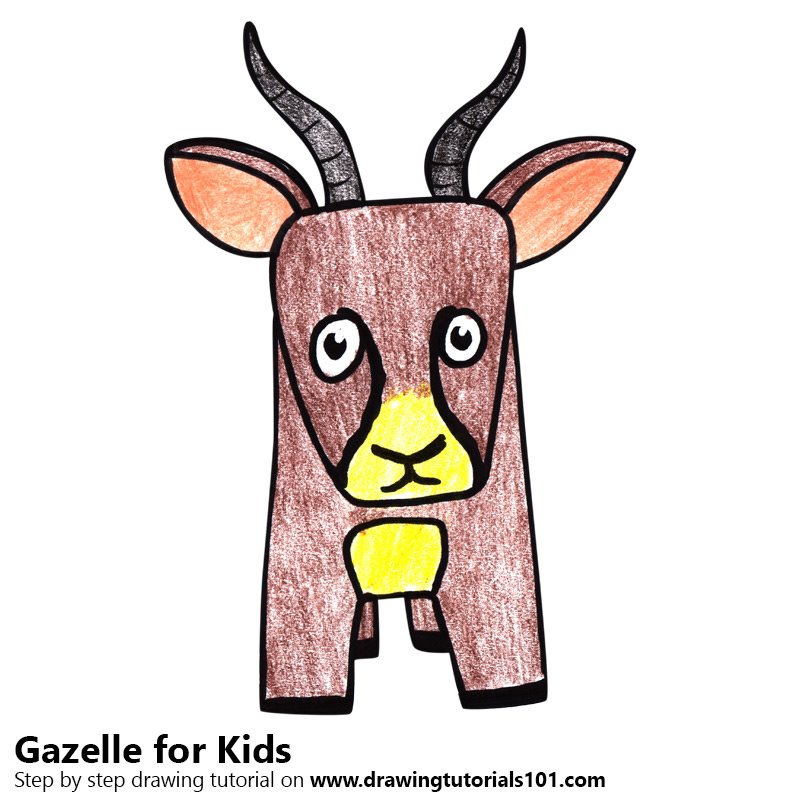 800x800 Learn How To Draw A Gazelle For Kids