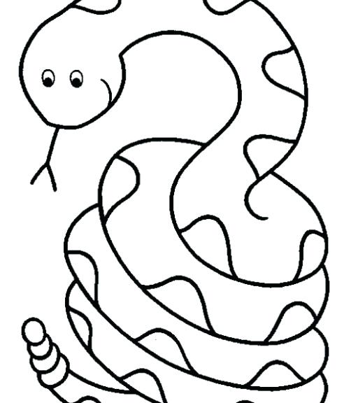 502x576 Drawing Zoo Animals Cute Zoo Animals Vector Illustration Line Art