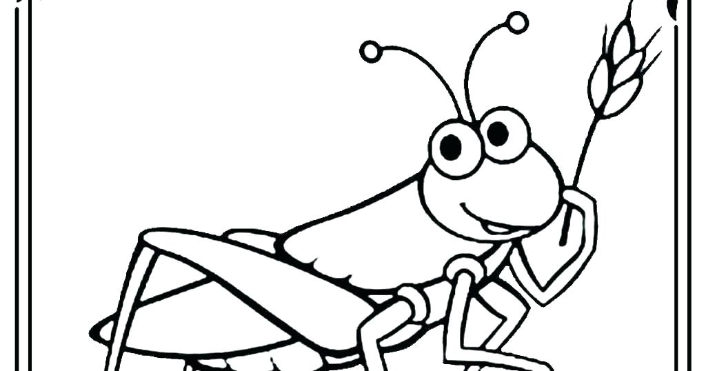 1024x538 Grasshopper Drawing For Kids Medium Size Of Coloring Pages Online