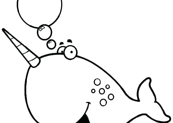 600x425 How To Draw Animals Step