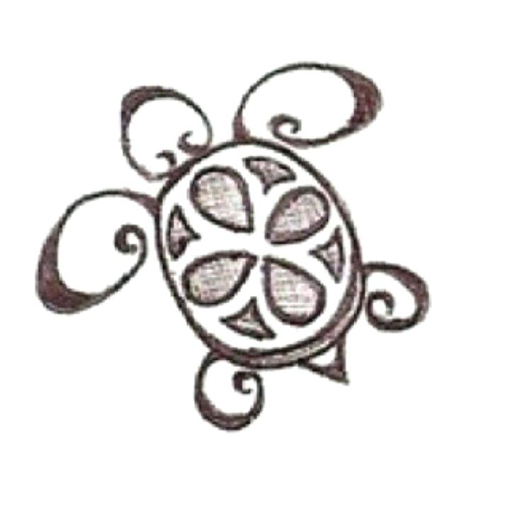 720x720 How To Draw Cartoon Turtles