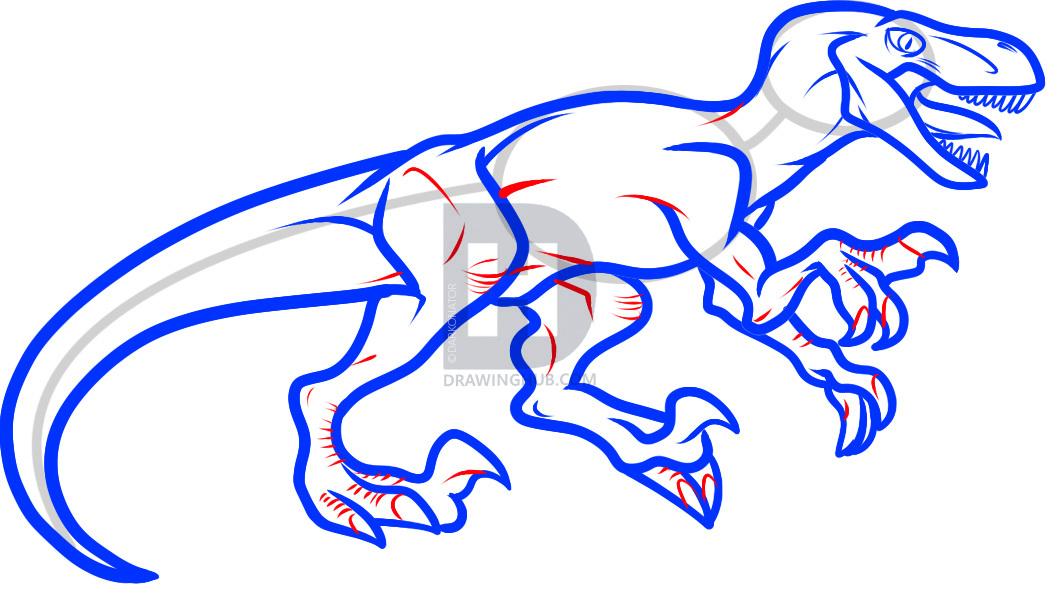 1048x611 How To Draw A Velociraptor Dinosaur, Step