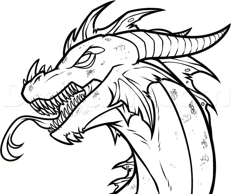 736x619 Cool Dragons To Draw Cute Dragon Drawings Step