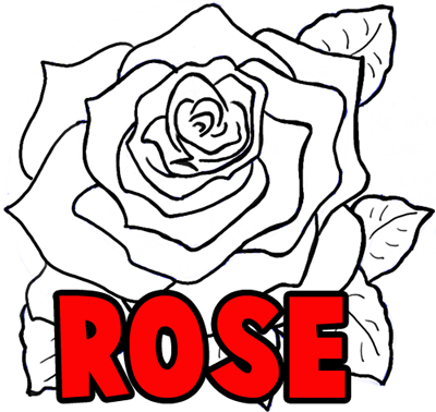 400x378 How To Draw Roses Opening In Full Bloom Step