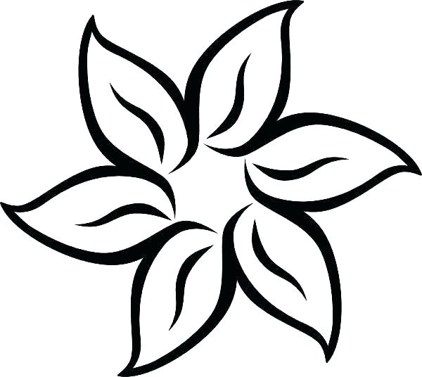 600x536 How To Draw A Hawaiian Flower Step
