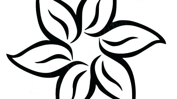 585x329 Flower Easy Drawing How To Draw Flower Google Search Easy To Draw