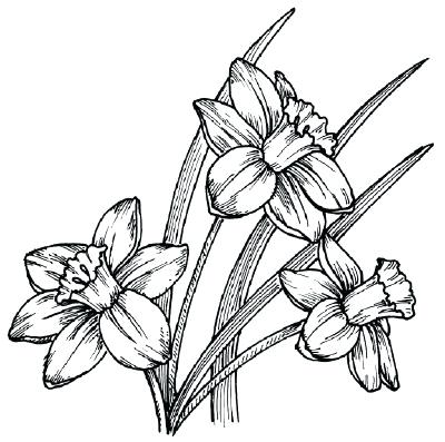 400x397 How To Draw Bunch Of Flowers Step