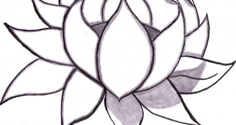 471x250 How To Draw Cool Flowers Step
