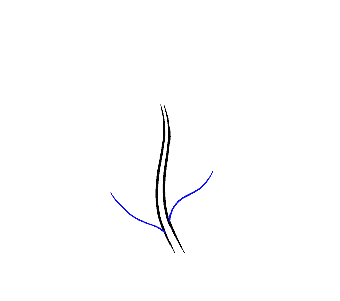 678x600 How To Draw Cartoon Flowers Easy Step