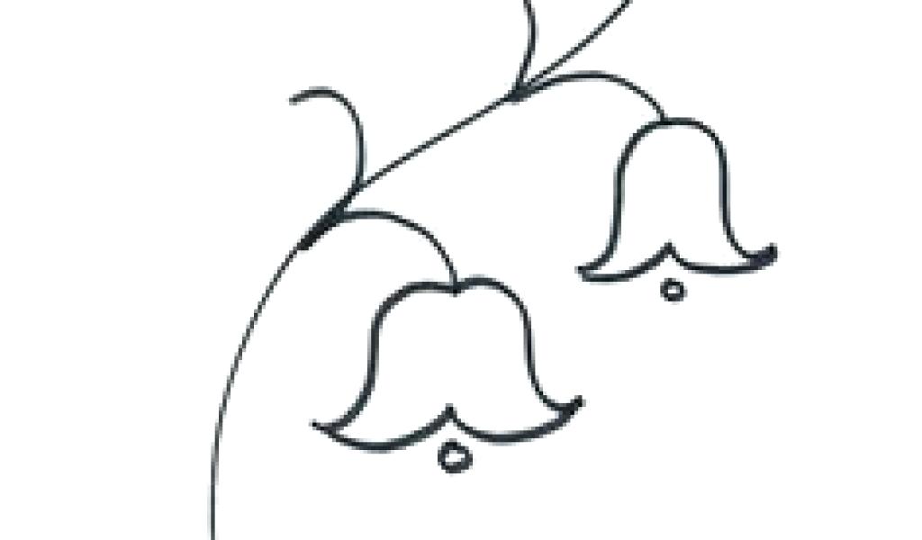 1024x600 Easy Roses Drawings Roses Drawings Simple Rose Drawing Cool Easy