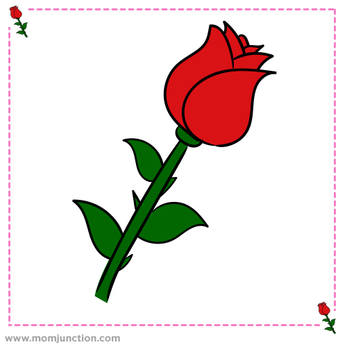 500x500 How To Draw A Rose A Step