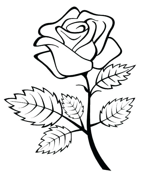 521x626 Drawing Flowers For Kids