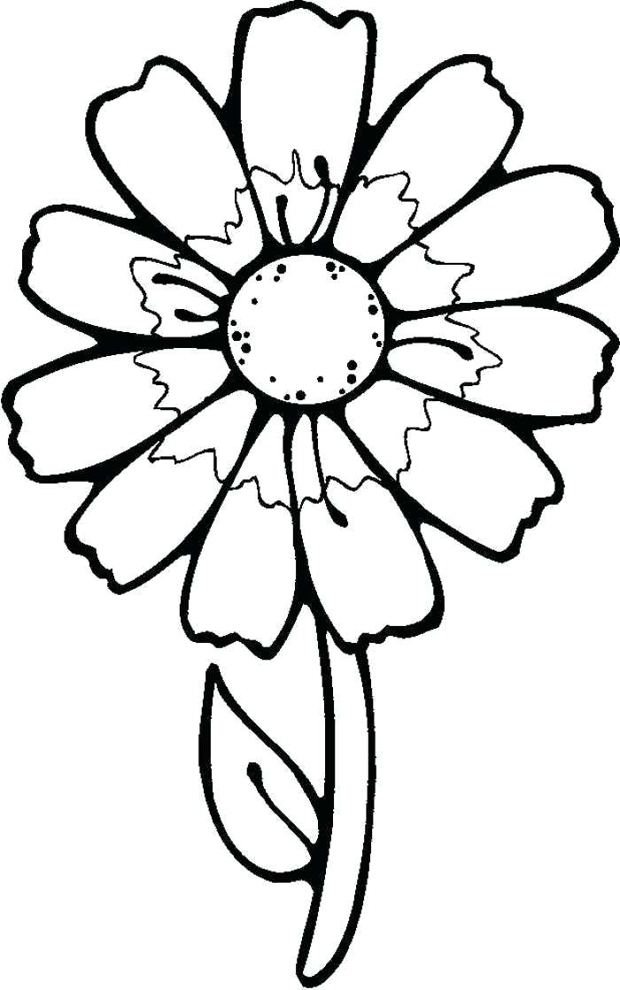 700x1118 Flower Drawings For Kids How To Draw A Buttercup Flower Step