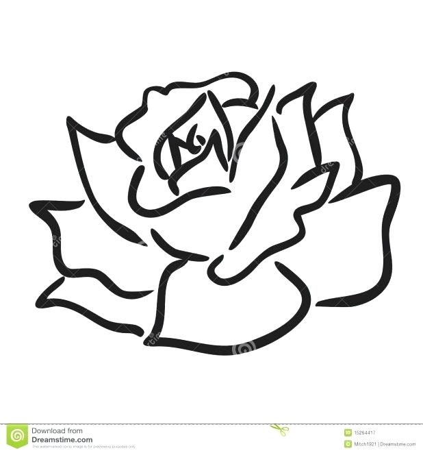 618x661 Simple Drawing Of A Rose