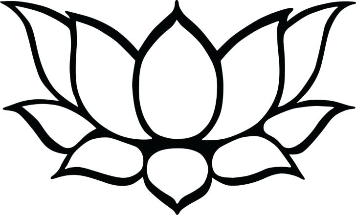 728x440 How To Draw A Lotus Flower Step