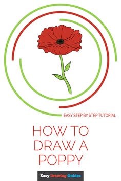 236x354 Best How To Draw Poppies Images Drawing Techniques, Drawing