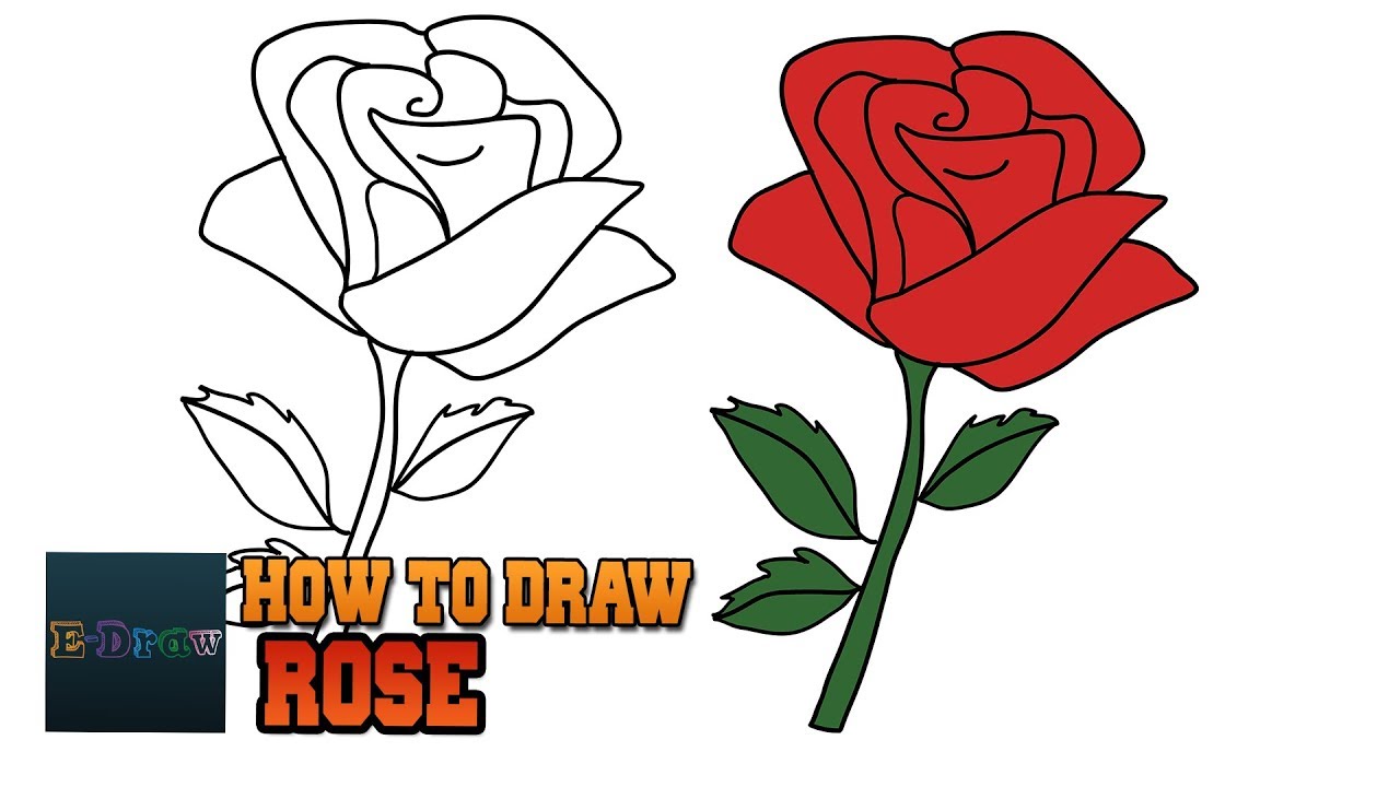 1280x720 How To Draw A Rose Easy Step