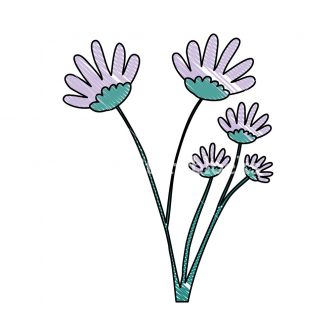 336x336 Daisy Flower Pencil Drawing Yellow Realistic Vector Images