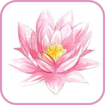 340x340 Download Apps From Skidannet Android Developer