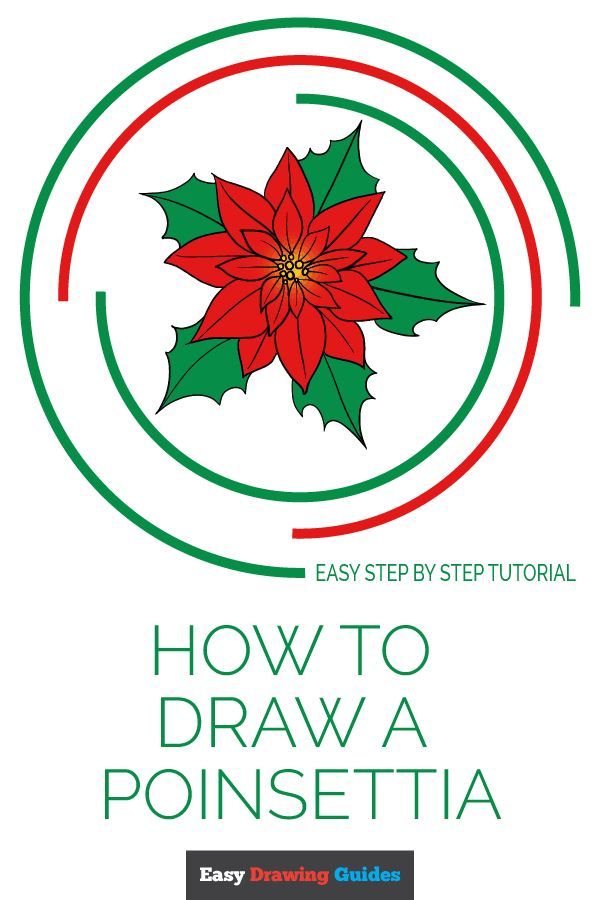 600x900 How To Draw A Poinsettia
