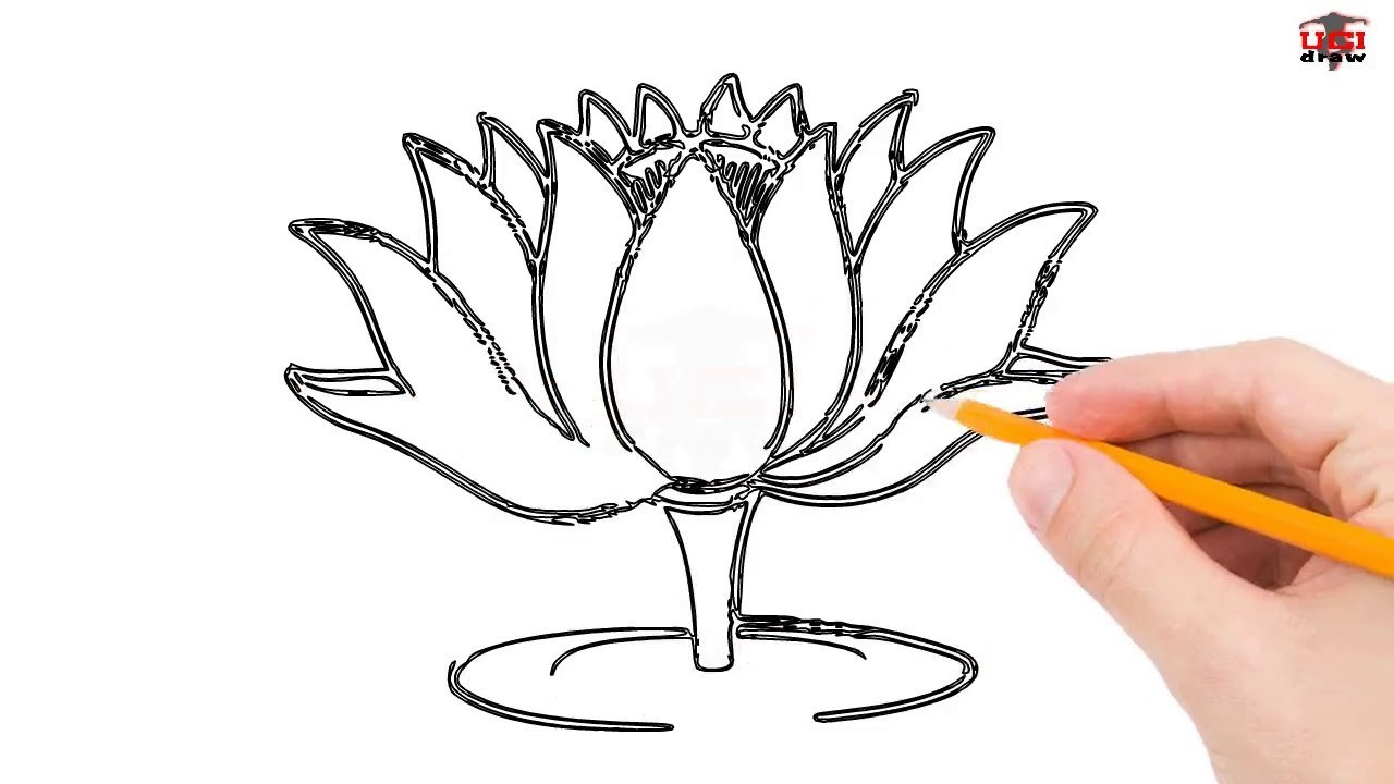 1280x720 Steps To Draw A Flower Step How To Draw Easy Flowers Color