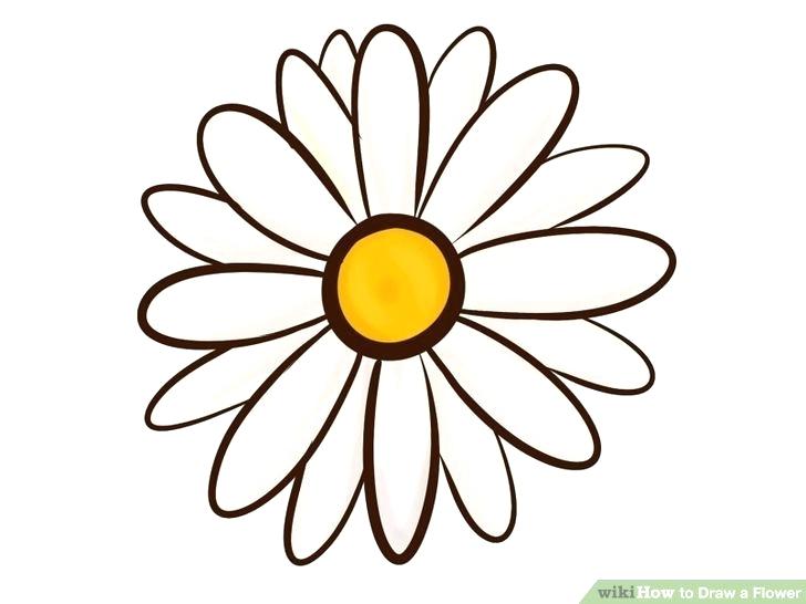 728x546 Drawing Beautiful Flowers Step