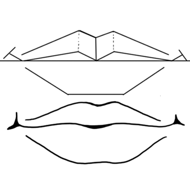 Step By Step Lip Drawing