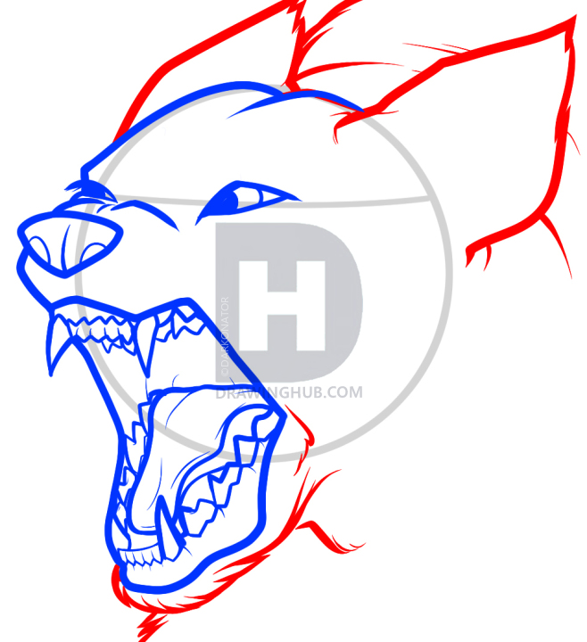 658x720 How To Draw An Angry Dog, Angry Dog, Step