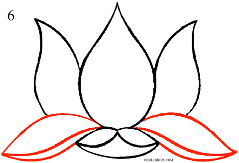480x328 How To Draw Lotus Flower