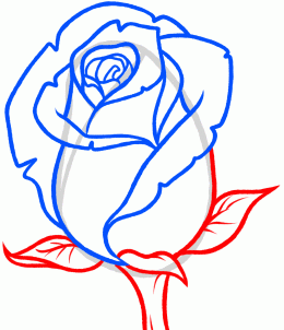 260x302 How To Draw A Rose Bud, Rose Bud, Step