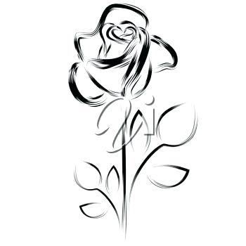 350x350 A Simple Rose Drawing