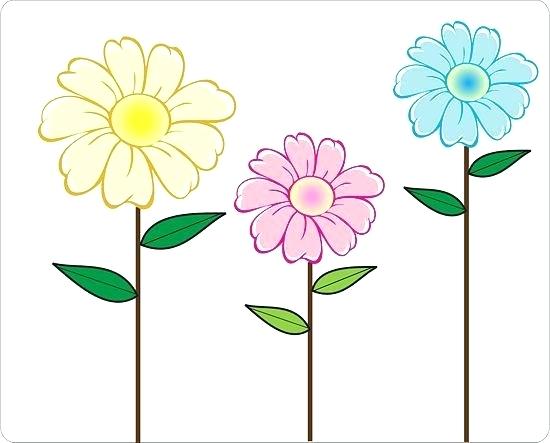 550x443 Daisy Drawing