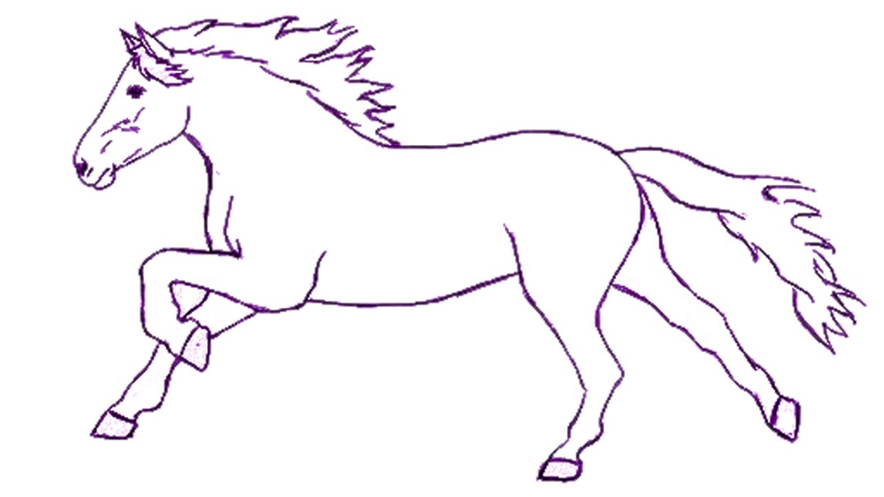 1280x720 How To Draw A Horse Step