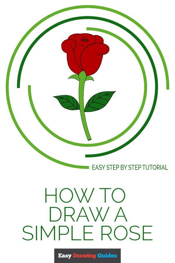 600x900 How To Draw A Simple Rose Color Pencil Drawings, Drawing