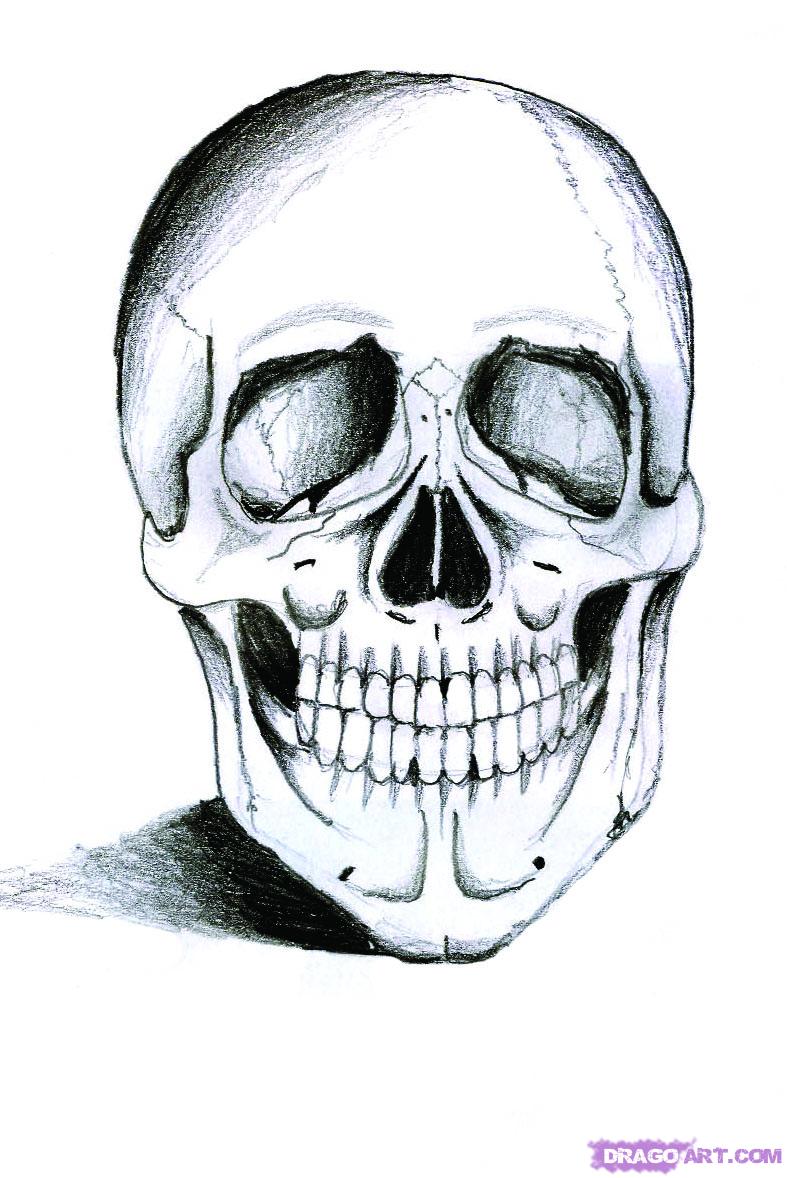 787x1178 How To Draw A Realistic Skull, Step
