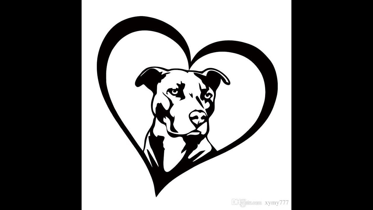 1280x720 Dog Finally Leaves Stick After Being Rescued