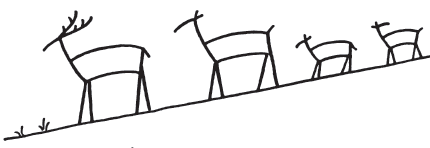 430x148 How To Draw Deer Step