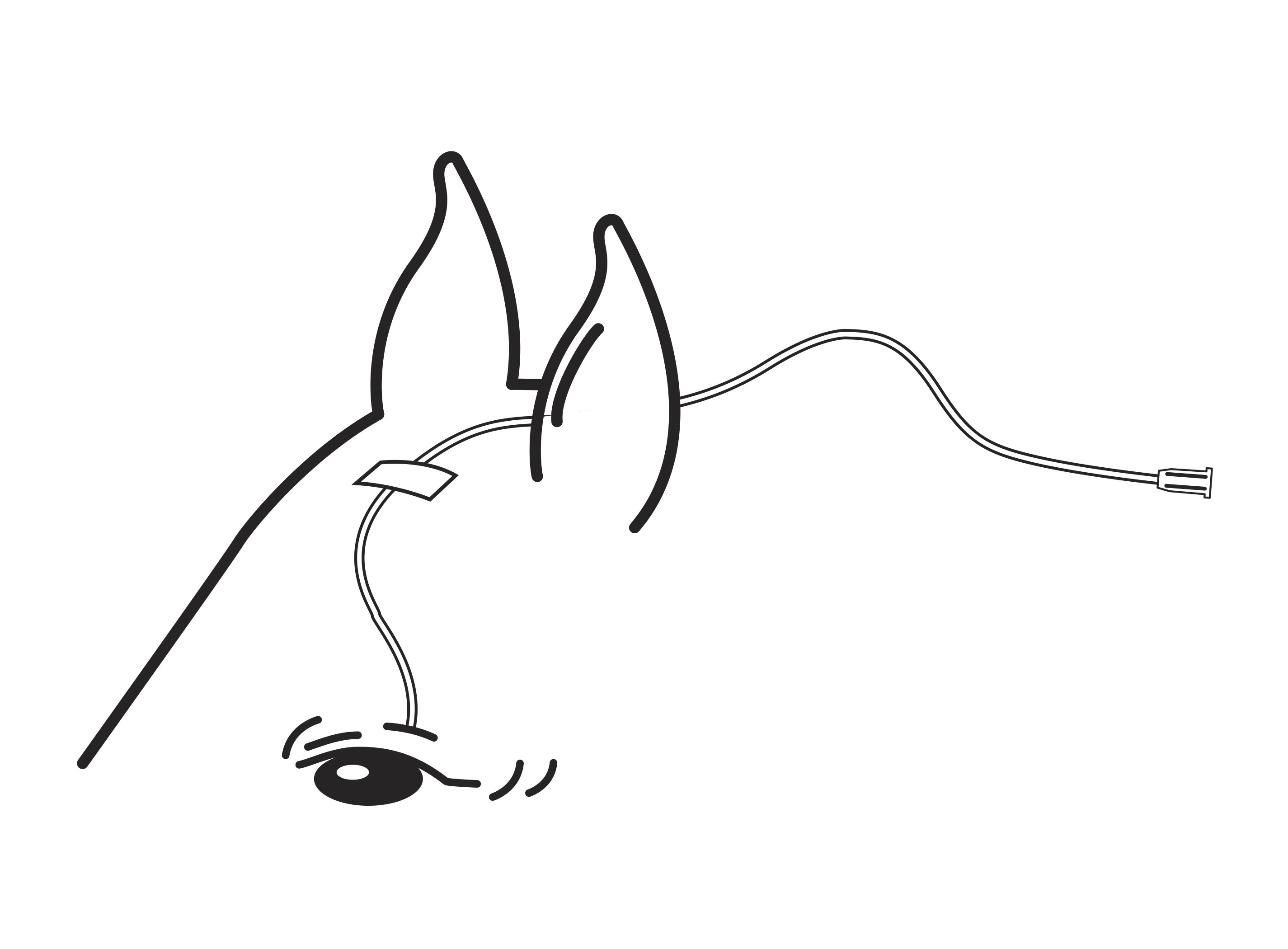 2850x2100 Eye Lavage Kit Spl