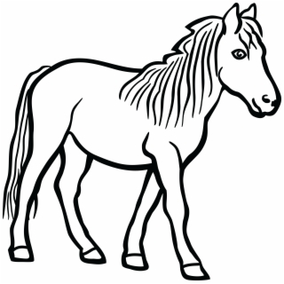 320x320 Hd Stick Figure Horse Png
