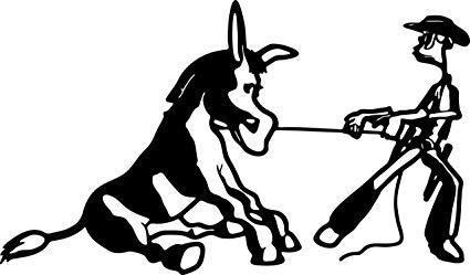 425x249 Cowboy Pulling Horse Picture Art Removable Animal