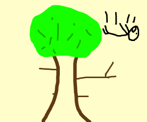 300x250 mosquito discovering a stick